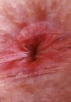 ATK Galleria: Krystal Palmer (Krystal Palmer is all dolled up)