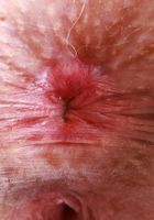 Krystal Palmer from ATK Petites