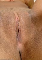 Laura in latinas, Laura (lau025) ATK Exotics: Laura (Laura in latinas)