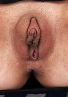 ATK Exotics: Leila Mills (Leila Mills lets you look up her dress)