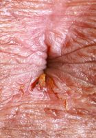 ATK Petites: Leila Mills (Leila Mills lets you look up her dress)