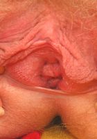 ATK Archives: Lena (Lena in)