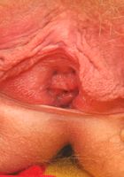 ATK Archives: Lena (Lena in)