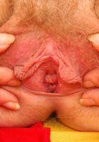 ATK Archives: Lena (Lena in)