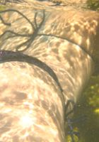 Lily in nudism, Lily (lil032) ATK Exotics: Lily (Lily in nudism)