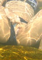 Lily in nudism, Lily (lil032) ATK Exotics: Lily (Lily in nudism)