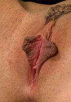 ATK Archives: Luna (Luna in toys)