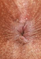 Maya Farrell Outdoor Nudity, Maya Farrell (may024) ATK Exotics: Maya Farrell (Maya Farrell Outdoor Nudity)