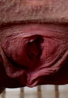 Melanee Star in amateur, Melanee Star (mel112) ATK Premium: Melanee Star (Melanee Star in amateur)