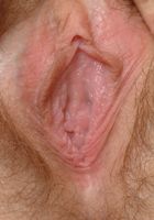 ATK Archives: Molly (Molly spreads her pussy)