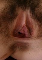 ATK Archives: Monkee (Monkee in)