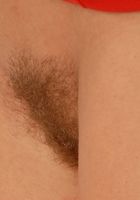Nikol Spreads her Golden Muff, Nikol (nik068) ATK Natural & Hairy: Nikol (Nikol Spreads her Golden Muff)