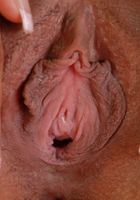 ATK Exotics: Niki (Niki in toys)