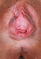 ATK Galleria: Nikki Slick (Nikki Slick in her patriot shorts)