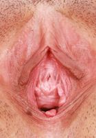 Nova Vixen Outdoor Nudes, Nova Vixen (nov003) ATK Galleria: Nova Vixen (Nova Vixen Outdoor Nudes)