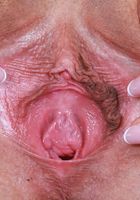 ATK Galleria: Ophelia Fae (Ophelia Fae is a hottie with all the goodies)