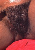 Pam in black women, Pam (pam006) ATK Exotics: Pam (Pam in black women)