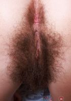 ATK Natural & Hairy: Pearl Sage (Pearl Sage Big Bush Bikini Spreads)