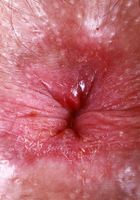 Pearl Sage from ATK Natural & Hairy