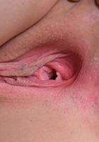 ATK Galleria: Peyton Robbie (Peyton Robbie is Sexy in Stockings)