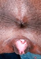 ATK Exotics: Poppy Cox (Poppy Cox Beautiful Smile Bright Pink Pussy Spreads)