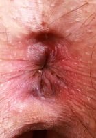 Riley Rose from ATK Natural & Hairy