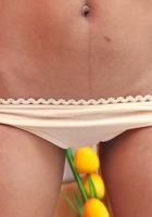 Rose in upskirts and panties, Rose (ros039) ATK Petites: Rose (Rose in upskirts and panties)