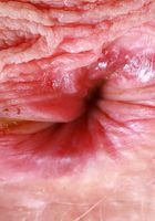 Sahara Skye from ATK Natural & Hairy