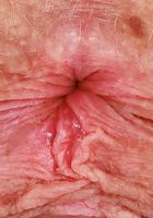 ATK Galleria: Sahara Skye (Sahara Skye Sexy Outdoor Stripping)