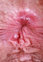 ATK Natural & Hairy: Sahara Skye (Sahara Skye Tiny Shorts Strip and Spread)