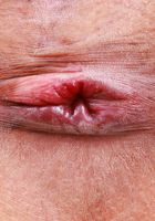 Salee Lee from ATK Petites