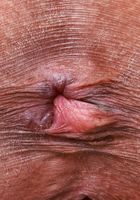 Salee Lee from ATK Petites