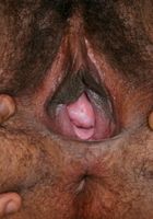 Beautiful black babe Sammi spreads her luscious hairy pussy, Sammi (sam032) ATK Exotics: Sammi (Beautiful black babe Sammi spreads her luscious hairy pussy)