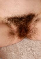 ATK Archives: Sandy (Sandy in amateur)