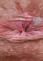 ATK Exotics: Satine Summers (Satine Summers is sunshine in yellow)