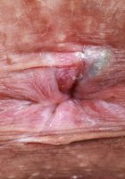 ATK Petites: Satine Summers (Satine Summers in a black and white dress)