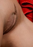 Scarlet Banks has one hot body and strips rubbing her pussy, Scarlet Banks (sca026) ATK Exotics: Scarlet Banks (Scarlet Banks has one hot body and strips rubbing her pussy)