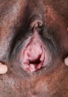 ATK Exotics: September Reign (September Reign in black women)