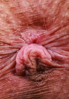 ATK Galleria: Serena Hill (Serena Hill Bikini Babe)