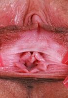 Serena Hill Young Pink Pussy, Serena Hill (ser031) ATK Galleria: Serena Hill (Serena Hill Young Pink Pussy)
