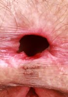 Sia Wood from ATK Natural & Hairy