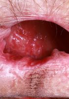 ATK Natural & Hairy: Sia Wood (Sia Wood in black leather and knee-high boots)