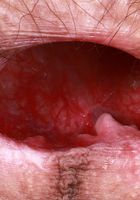 Sia Wood from ATK Natural & Hairy