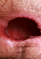 ATK Petites: Sia Wood (Sia Wood in leather and boots)