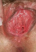 Siren from ATK Archives