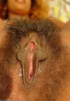 Sita from ATK Exotics