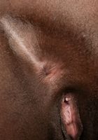 ATK Exotics: Skyy Dreams (Skyy Dreams in black women)