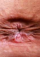 ATK Exotics: Sona Bella (What could be better than Sona Bella in lingerie)