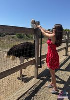 ATK Girlfriends: Summer Renee (ATK Girlfriends Summer Renee Photo Set)