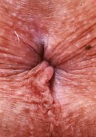 ATK Petites: Summer Renee (Summer Renee has the sexy goods)